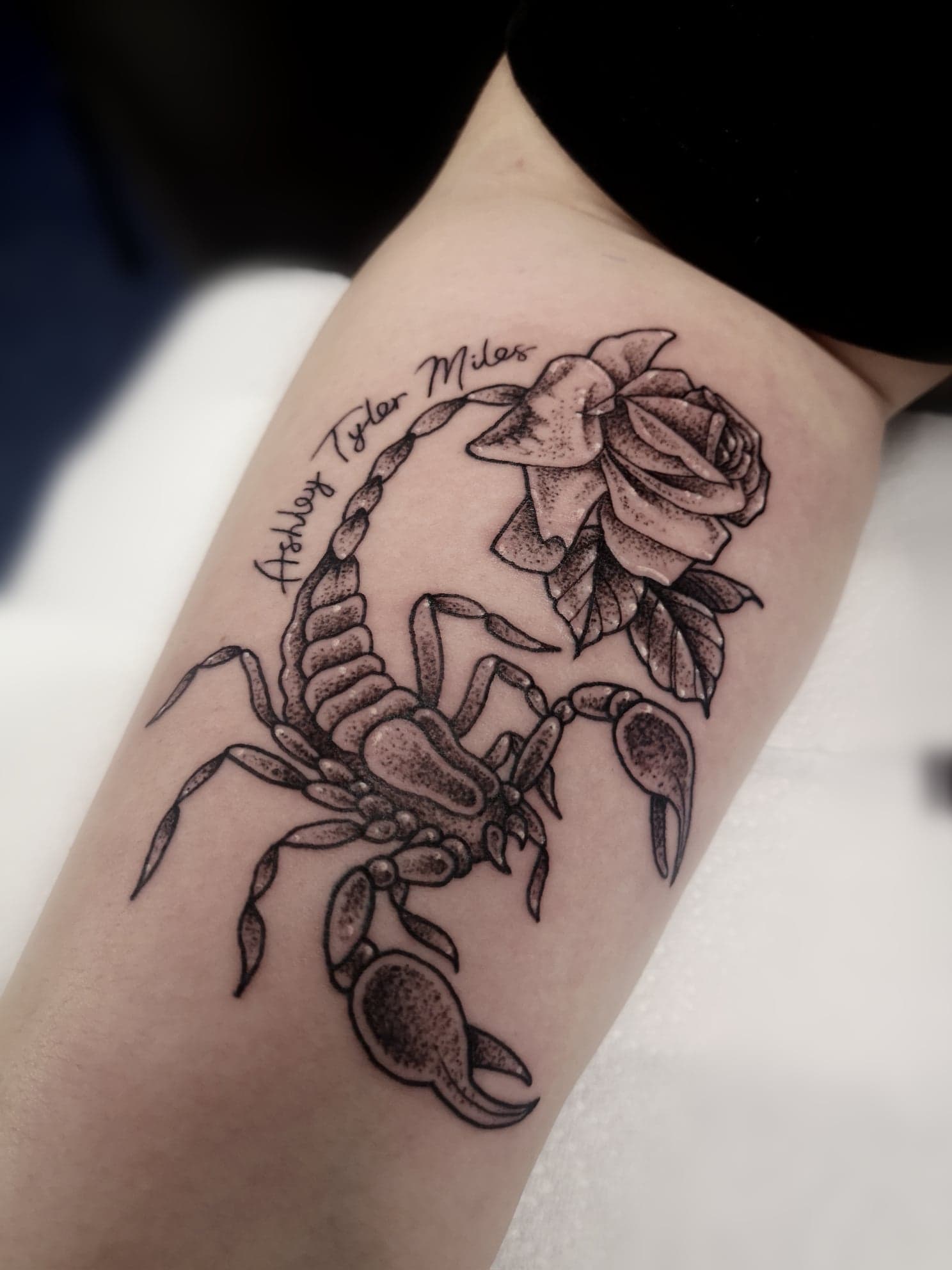 scorpion• Super cute beeb scorpion made at the very tail end of Scorpio  season, thanks again Cortney! | Instagram
