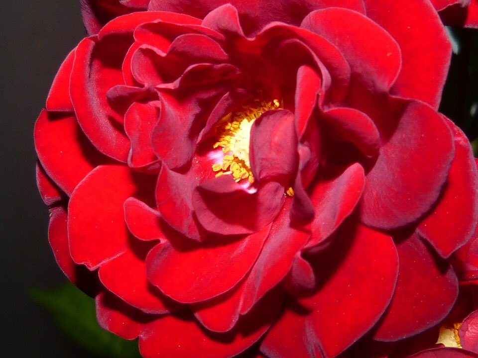 VIEdeTAXI (@taxi_ede) on Twitter photo BEAUTIFUL EVENING MY DEAR FRIENDS ๐<a href="/SebastianHine/">Sebastian Hine</a> ๐
<a href="/empresario/">Empresario</a> <a href="/MoreiEnf/">Jorge Moreira</a> <a href="/henniuk/">henni</a> <a href="/AlbertoJor18/">๐จ๐๐๐๐๐๐ ๐ฑ.</a> <a href="/noornoo77056192/">๐N๐N00R๐The lover</a> <a href="/Sk14391138812/">Sk 143</a> <a href="/SultanAliqazi/">Sultan Ali qazi</a> <a href="/QuattroMori61/">Quattromori61</a> <a href="/laquerenda/">QUERENDA</a> <a href="/marrac7873/">Marcin Raczkaโ๐ต๐ฑ</a> <a href="/tuncay6969/">Tolga</a> @JAGDISHRAI053 <a href="/KatanaHugo/">Alessandro โ๏ธ NO DM</a> @MaviTutku83 <a href="/sedat0057/">Sedat ucuncuoglu</a> @WaqarAs80097235 <a href="/Jendrekan/">ฮฮฝฮดฯฮตฮฑฯ</a> BEAUTIFUL EVENING MY DEAR FRIENDS ๐<a href="/SebastianHine/">Sebastian Hine</a> ๐
<a href="/empresario/">Empresario</a> <a href="/MoreiEnf/">Jorge Moreira</a> <a href="/henniuk/">henni</a> <a href="/AlbertoJor18/">๐จ๐๐๐๐๐๐ ๐ฑ.</a> <a href="/noornoo77056192/">๐N๐N00R๐The lover</a> <a href="/Sk14391138812/">Sk 143</a> <a href="/SultanAliqazi/">Sultan Ali qazi</a> <a href="/QuattroMori61/">Quattromori61</a> <a href="/laquerenda/">QUERENDA</a> <a href="/marrac7873/">Marcin Raczkaโ๐ต๐ฑ</a> <a href="/tuncay6969/">Tolga</a> @JAGDISHRAI053 <a href="/KatanaHugo/">Alessandro โ๏ธ NO DM</a> @MaviTutku83 <a href="/sedat0057/">Sedat ucuncuoglu</a> @WaqarAs80097235 <a href="/Jendrekan/">ฮฮฝฮดฯฮตฮฑฯ</a>