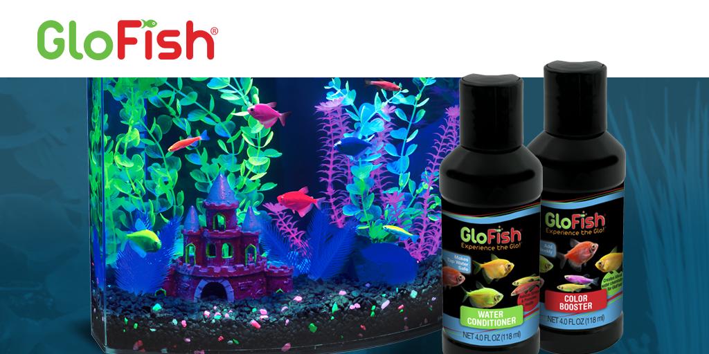 GloFish's tweet image. #glofish lacking luster? Use both our Water Conditioner and our Color Booster and watch the color of your GloFish® shine brighter than ever!
Learn more: bit.ly/2v4v6MM and bit.ly/2v4bBnO

#aquariumcaretips  #fishkeepingtips