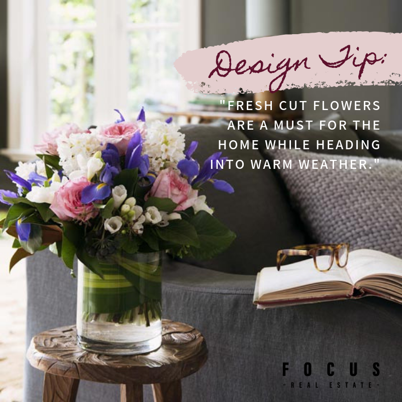 Focus Real Estate tweet media