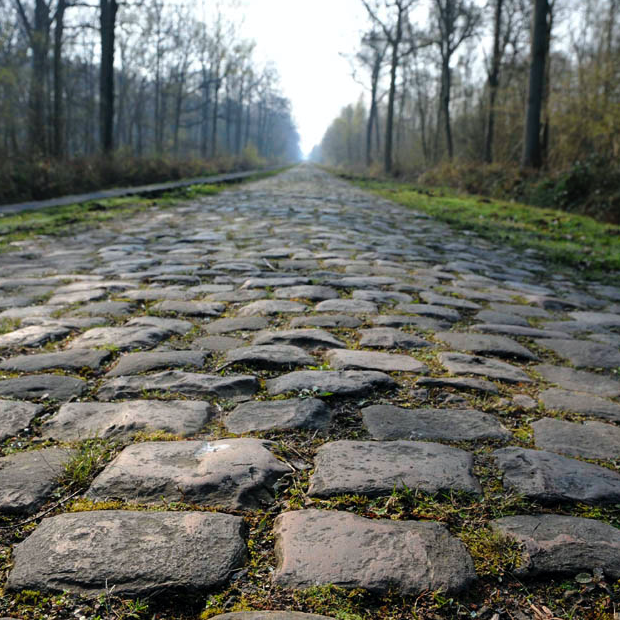 257km. 29 Cobbled Sectors. Only one day to go before the peleton takes on the Queen of the Classics - Paris Roubaix or more affectionately "The Hell of the North". We know we're be watching! 🚴 👍 
#ParisRoubaix #HellOfTheNorth #smoovelube