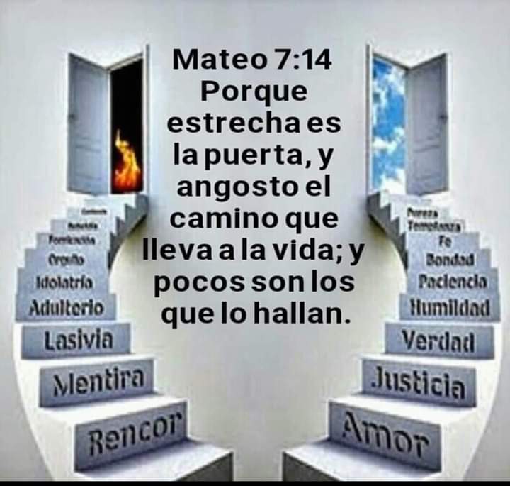 Mateo 7 13