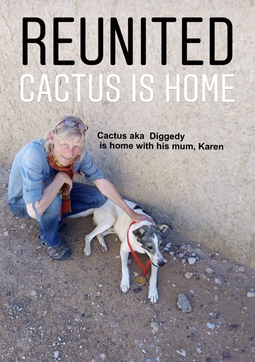 Talkultra's tweet photo. #cactus #cactusthemdsdog #mds @marathonDsables is HOME and REUNITED with mum, Karen ❤️ https://t.co/OosxZJeIFe