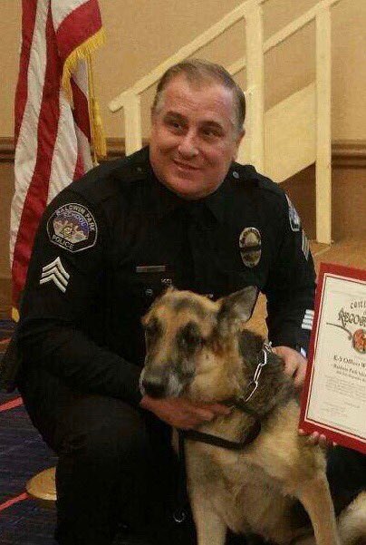 BPSchoolPolice's tweet photo. We are deeply saddened to announce that our beloved K9 Wolf passed away this morning after complications from surgery. A 7 yr veteran of our department, Wolf was the trusted partner to his handler Sgt Miedema. We have lost a loyal &amp; invaluable friend today 🐾💙  #K9Memorial #RIP https://t.co/FTfNzZ3bkk