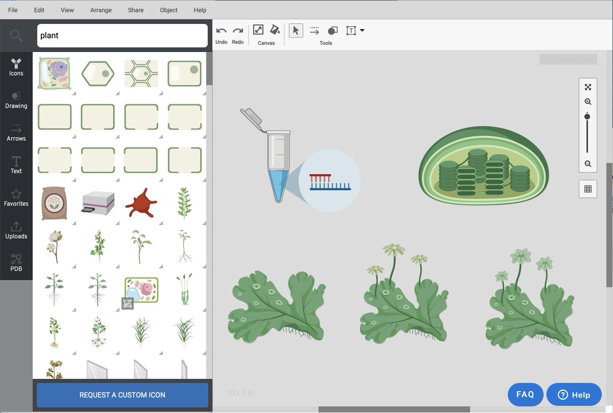 jimhaseloff's tweet image. BioRender: online tool for scientific illustration with &amp;gt;20,000 high quality icons, templates and editing environment - free accounts for educational use (biorender.com) - even Marchantia-ready!!!