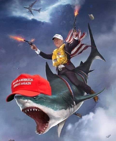 Eva Lowrance tweet media