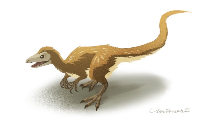 中華竜鳥のtwitterイラスト検索結果 中華竜鳥のtwitterイラスト検索結果