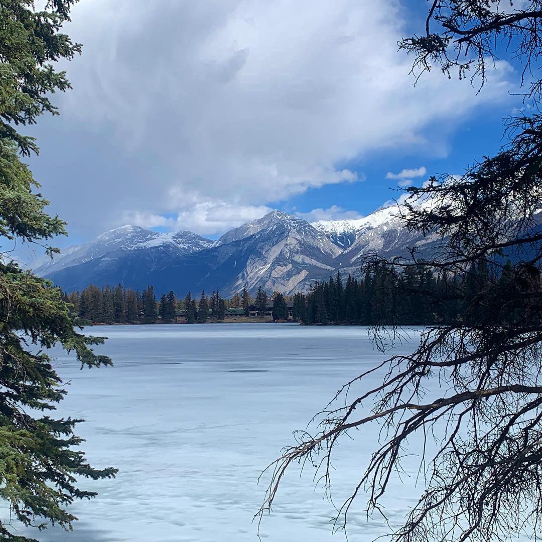 jasper_half's tweet photo. We hope you have an exceptional run through beautiful Jasper National Park! The views will be amazing! @jasper_half @JasperHalf #jasperhalf @TourismJasper @FairmontJPL @ParksCanada #getoutside #runjasper #myjasper #jasperhalfmarathon @MultisportsCan https://t.co/cDyysZlvPw