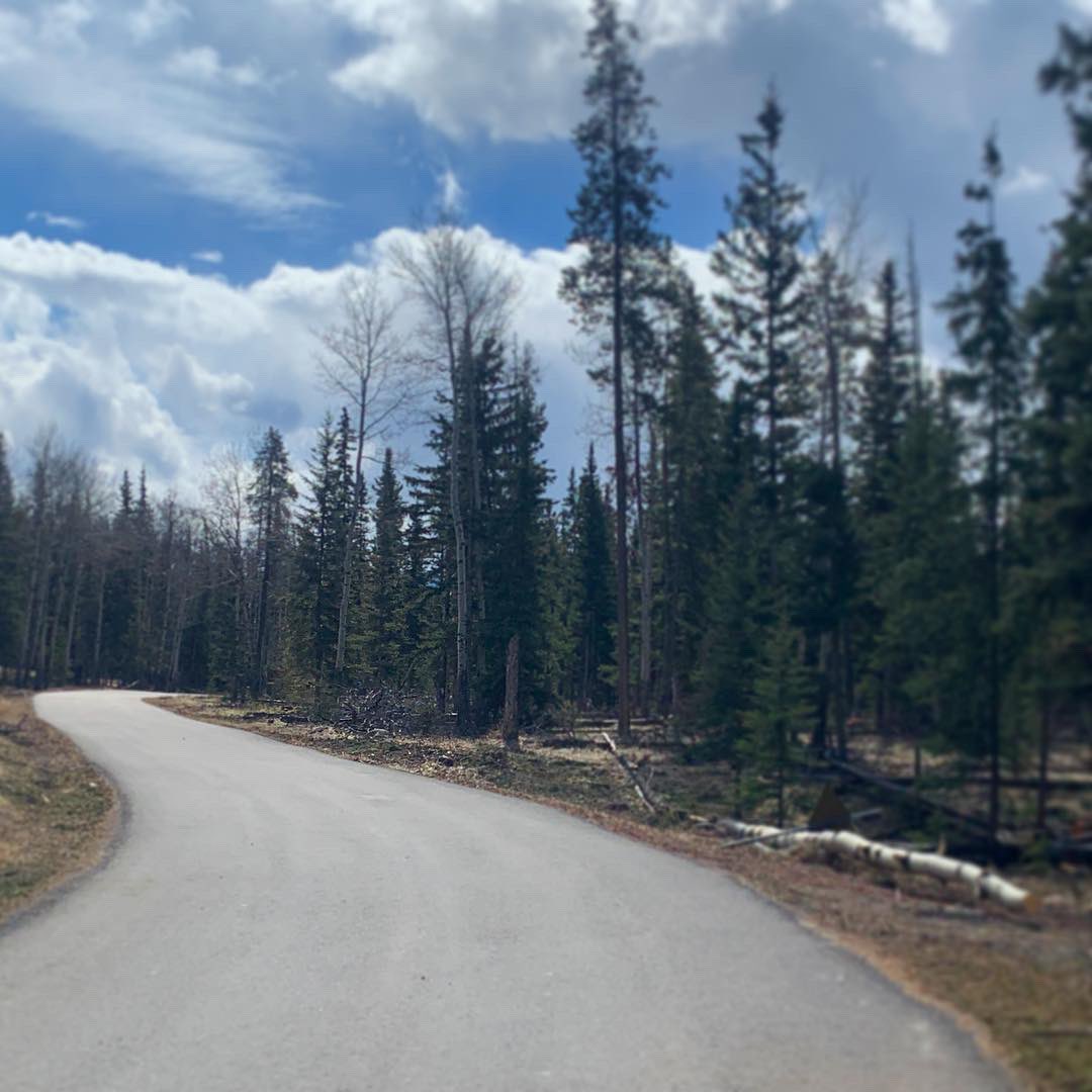 jasper_half's tweet photo. We hope you have an exceptional run through beautiful Jasper National Park! The views will be amazing! @jasper_half @JasperHalf #jasperhalf @TourismJasper @FairmontJPL @ParksCanada #getoutside #runjasper #myjasper #jasperhalfmarathon @MultisportsCan https://t.co/cDyysZlvPw