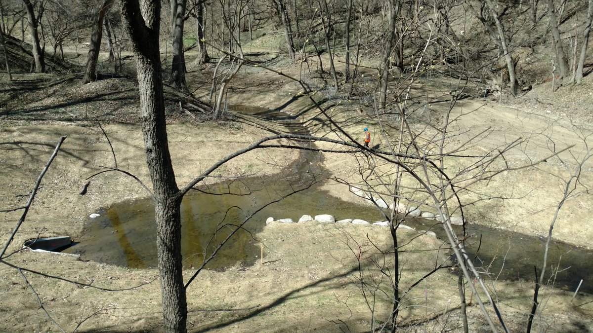 Common Sense WRE tweet media