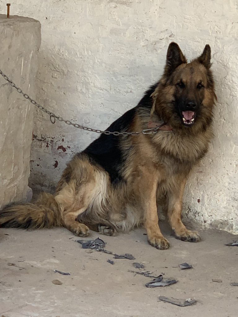 Prem786Prem's tweet image. 