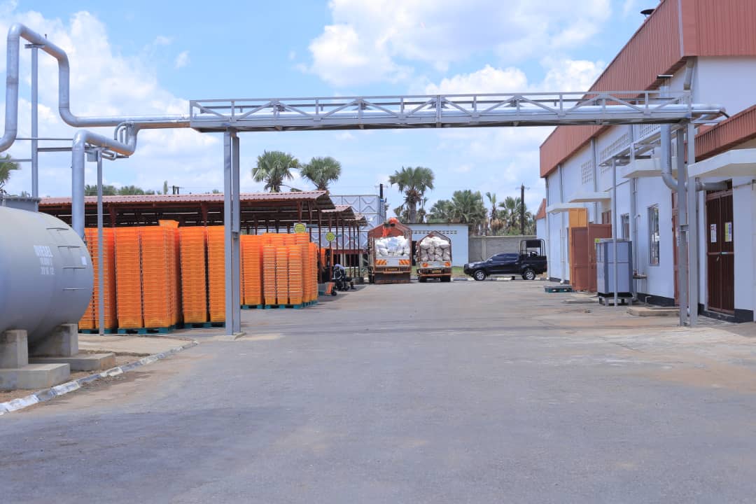 ubctvuganda's tweet photo. Soroti Fruit Factory commissioned by President @KagutaMuseveni today. The total investment is UGX 48.2 bn with @GovUganda contributing UGX 20.5 2bn and the rest contributed by Korea International Cooperation Agency. #SorotiFruitFactory #UBCNews https://t.co/guvx0OvYeS