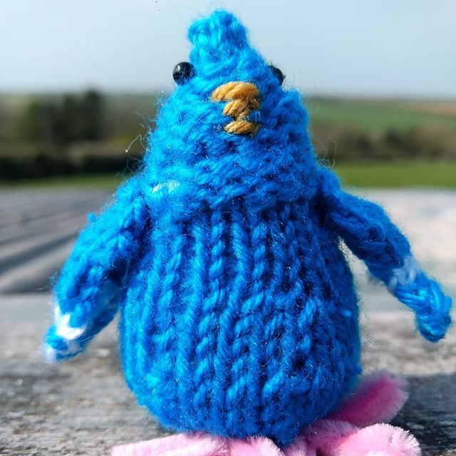 VeryanGalleries's tweet photo. Inspired by the amazing Sarah @marlboroughcraftivista #cooeythepigeon has landed @veryangalleries. First attempt at #knitting with 4 needles, practice needed! https://t.co/SBXeDYHaYg https://t.co/vjDgf7kihJ