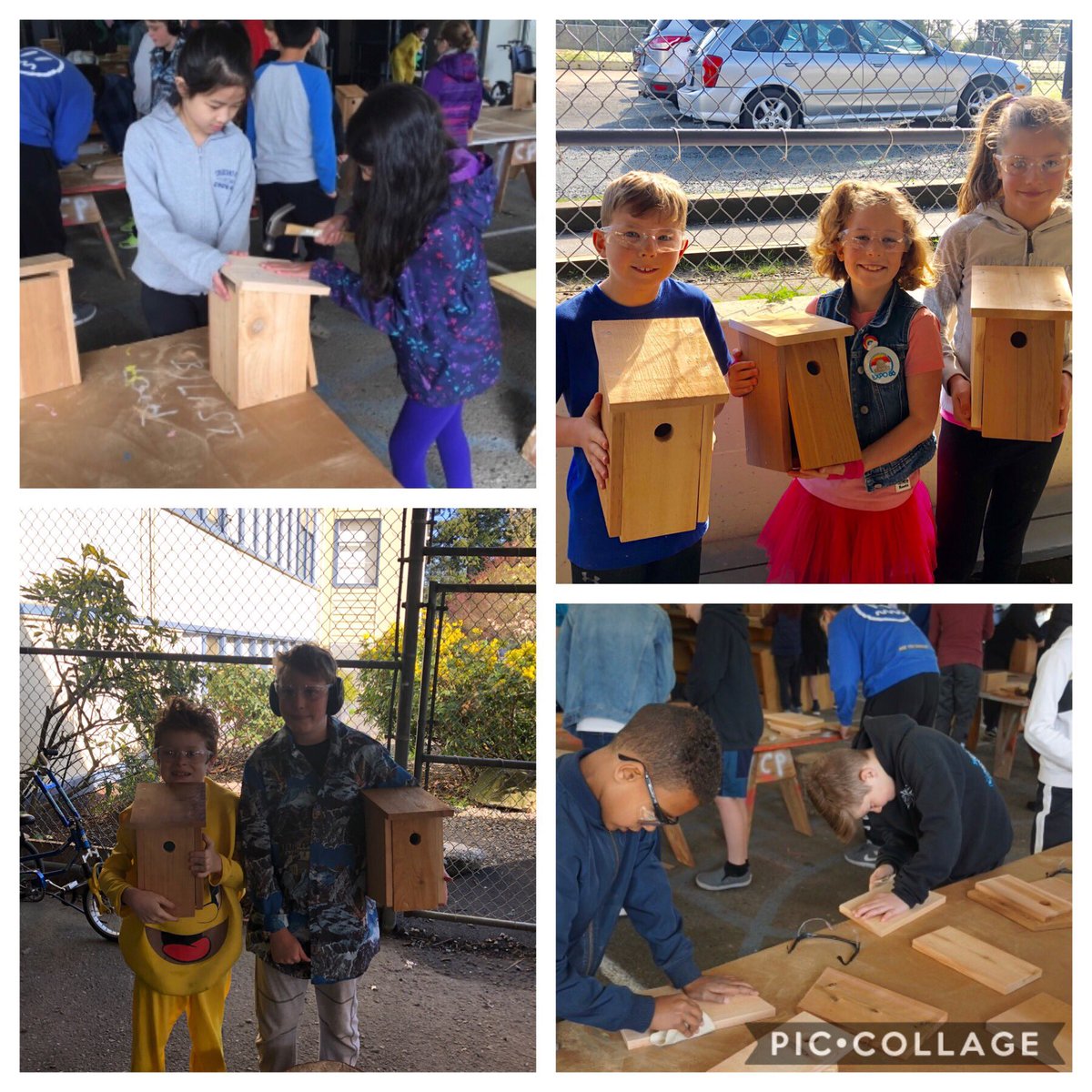 50+ 🐦🏠 complete✅ Hardwork, determination and collaboration👍 The look on the SS faces when they completed their project was something I will never forget😊 Thank you @DivisionW and your SS for guiding my 3/4s. We ❤️ building in our #makerspace @ScottSmithSD36 #sd36learn