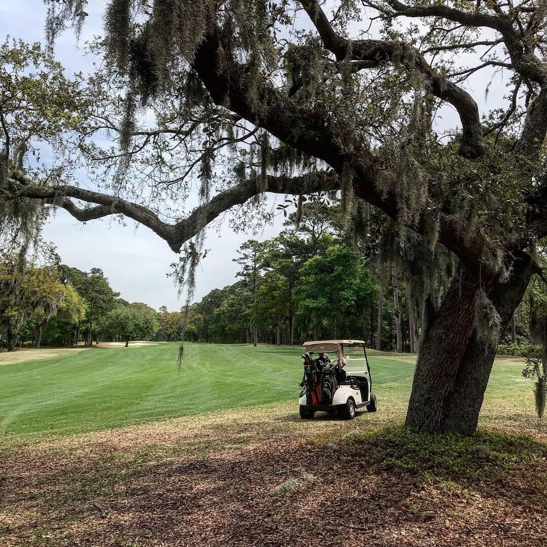 AngCengarle's tweet photo. Tough when you have to work on the weekend. 😉⛳️
#goldenbear #hiltonhead #hiltonheadisland #indigorun #golf #girlswhogolf https://t.co/7HwO1Bpgjx