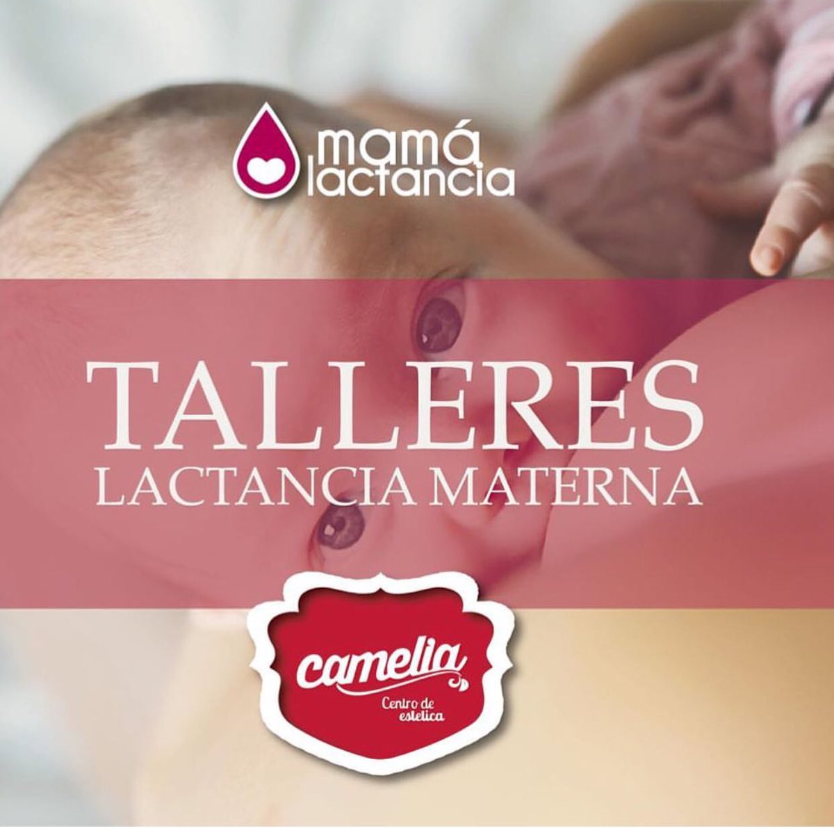CAMELIAJunin's tweet photo. #MamaLactancia https://t.co/PxunC0EPjw