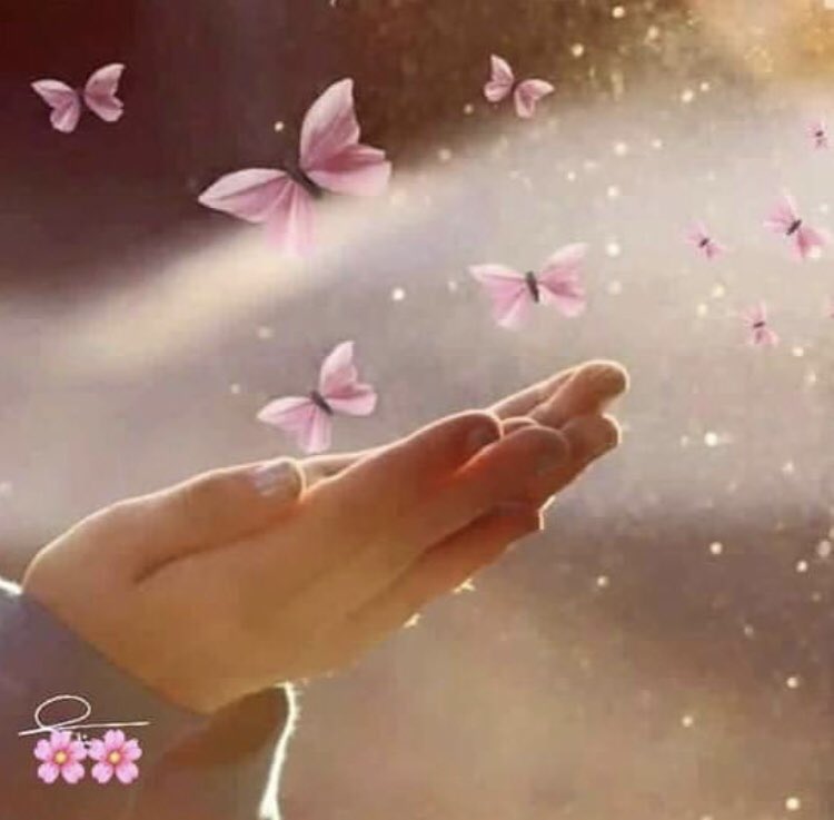 mnayr_5a's tweet photo. #أمنيه 
 لقد نام تاركاً في #ودائع الله حلمهُ...
    فأيقظه الله علي نور #الإجابة
      يآآآرب هذا الشعور ...🦋 https://t.co/Hagc86DDIu