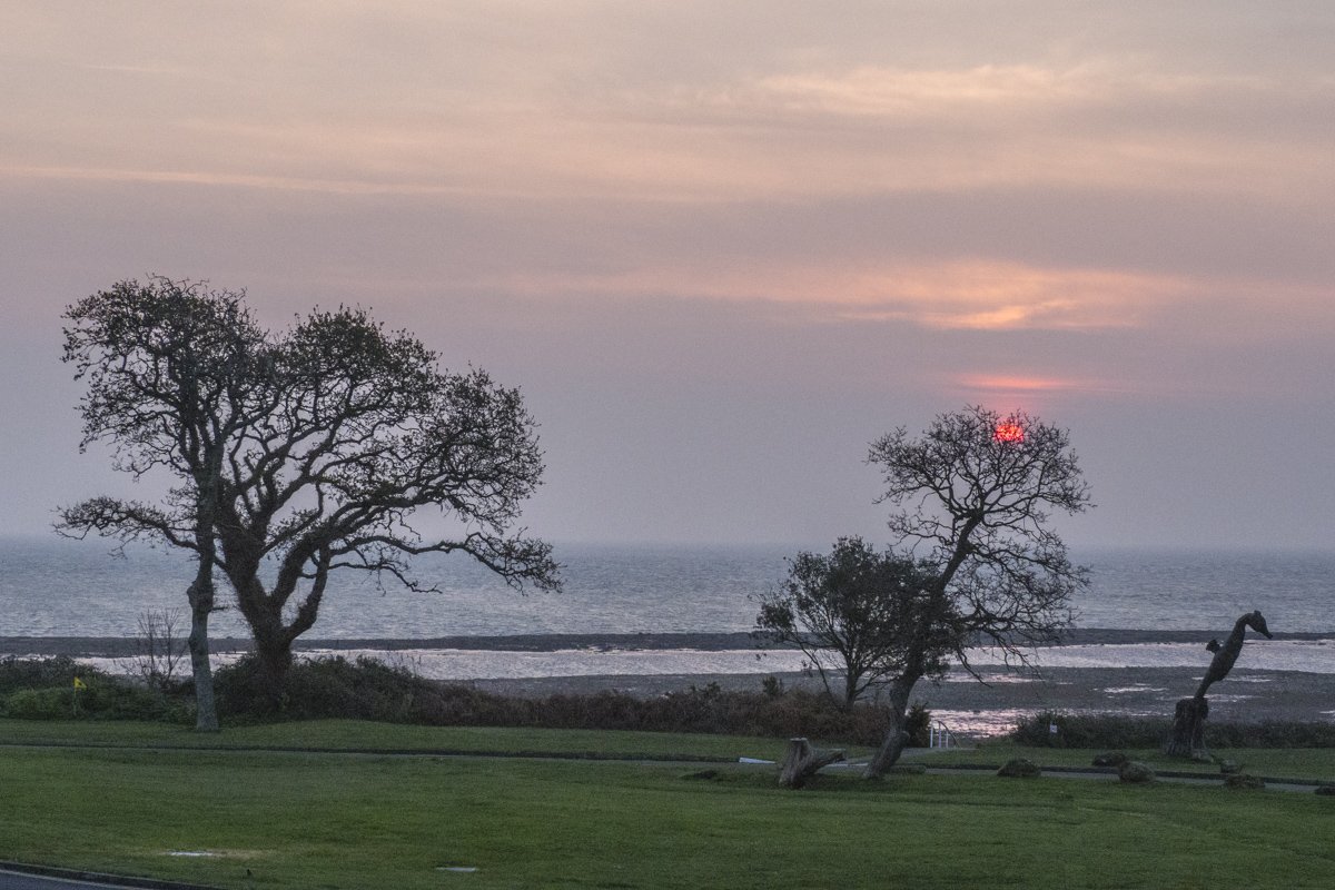 ValeryCollins's tweet photo. #travel #blog #travelblogger #holidays #explore #wanderlusturing Walk the #IsleofWight at #IsleofWightWalkingFestival 04 May - 19 May - great way to learn more about this unique island - nearly 100 different walks to choose from – read all about it - https://t.co/3MqLRsNZyE https://t.co/1oDBVp367T