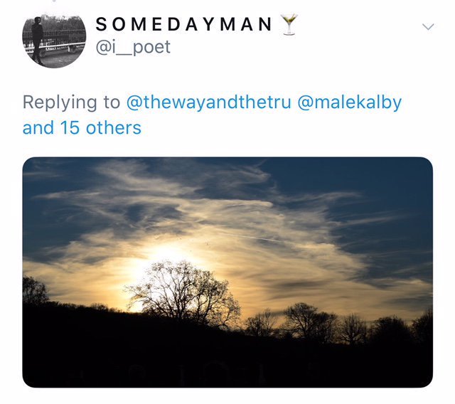 ZionAngel20's tweet photo. @UntamedBeauti .. and posting same pictures over and over, to fake they are a photographer. 
At least credit source when its not their photo and it's taken stolen from website 
like they all are, instead of misleading lying to people they took the image. 
#ConArtist #Liar #ipoet https://t.co/H5cS6g52h3