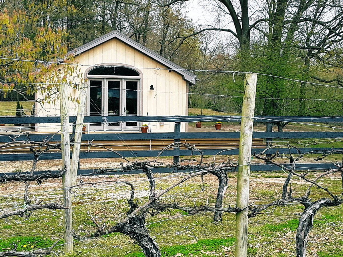 Perigeaux's tweet photo. Hello Weekend!
.
.
Come take a walk through our freshly pruned vineyard. The vines look great &amp; are ready for the 2019 season!
.
.
#perigeauxwine #vineyard #walkinthevineyard #pruning #gnarlyvines #estategrown #outside #beautifulday #somd #somdwine #mdwine https://t.co/9kVQjl891p