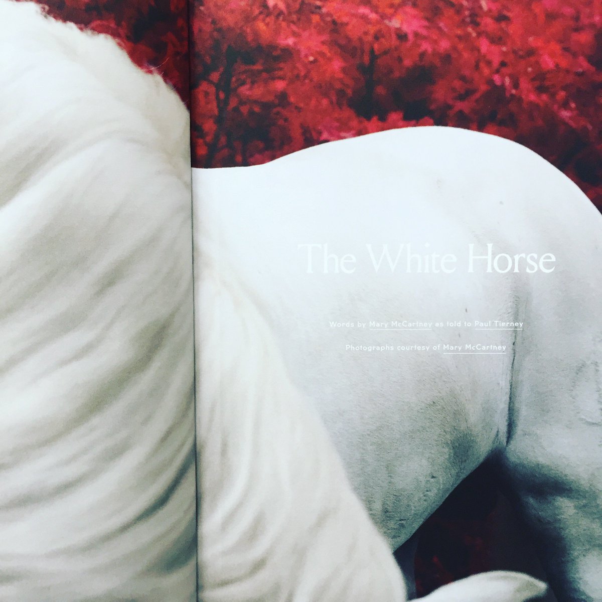 paultierneysays's tweet photo. New work In Issue 8 of Upstate Diary.
Interviews with Flavin Judd, Mary McCartney and Julie Cockburn.
#upstatediary #juddfoundation #marymccartney https://t.co/5NED5RzAON