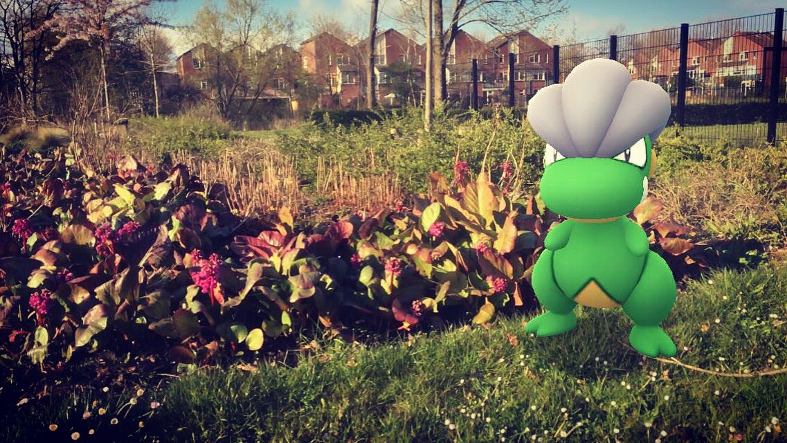 crazycoen's tweet photo. Why hello shiny Bagon. Hoe vaak kan ik jou in 30 minuten tegen komen? Morgen komt de vlog!
#gosnapshot #pokemonsnap #pokemongocommunityday #bagoncommunityday #shiny #shinybagon #pokemongo #pokemongonederland #pokemongosnaps #niantic #explorewithniantic #arplus #arplusmode https://t.co/HecClBEtJQ