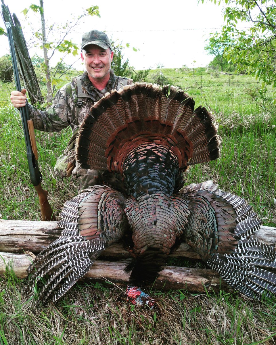 OutdoorWalsh's tweet photo. Oh boy! Just 12 more sleeps @PYE75 until Ontario's #TurkeyOpener! And another two sleeps after that for you to get your butt here for round 2, @OutdoorBailey! Looking forward to breaking in my new @ALPSOutdoorZ vest, too!  #WildTurkey #TurkeyHunting #TomDown #Gobbler #LongBeard https://t.co/LGddILrucG