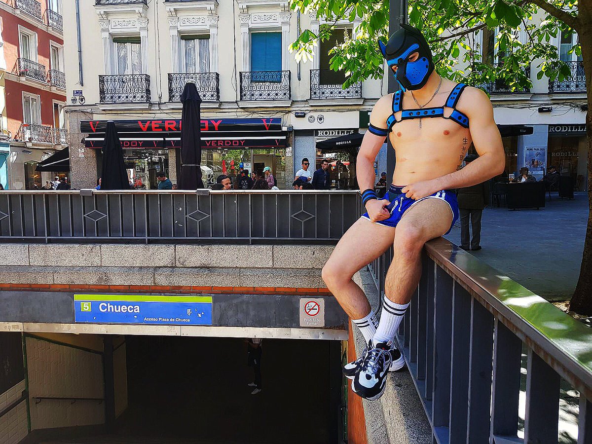 Boxer Madrid tweet media