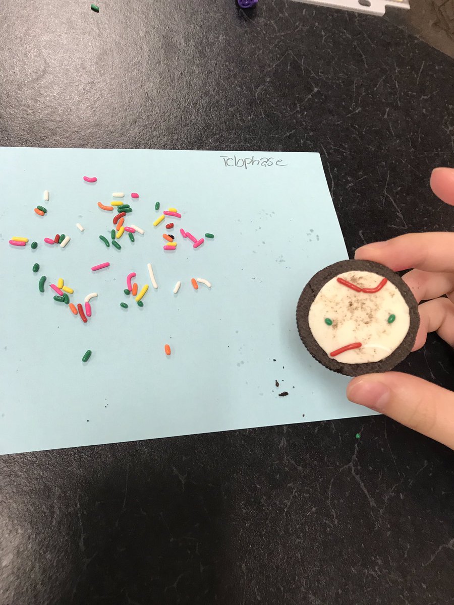 MsDeBottisbio's tweet image. Another awesome biology Saturday review! Cell cycle and differentiation is cake now! Great job to all of our students! 🧬🧬@MsDeBottisbio #bionerds #mytoesgrow #mitosis #ALLIN
