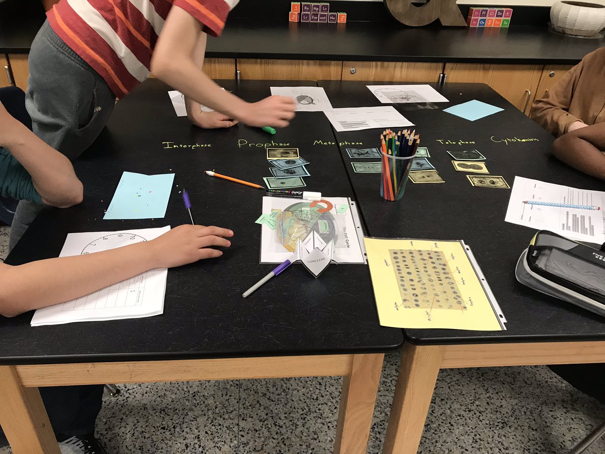 MsDeBottisbio's tweet image. Another awesome biology Saturday review! Cell cycle and differentiation is cake now! Great job to all of our students! 🧬🧬@MsDeBottisbio #bionerds #mytoesgrow #mitosis #ALLIN