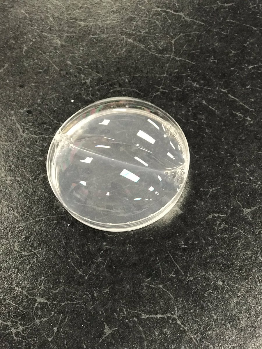 MsDeBottisbio's tweet image. Another awesome biology Saturday review! Cell cycle and differentiation is cake now! Great job to all of our students! 🧬🧬@MsDeBottisbio #bionerds #mytoesgrow #mitosis #ALLIN
