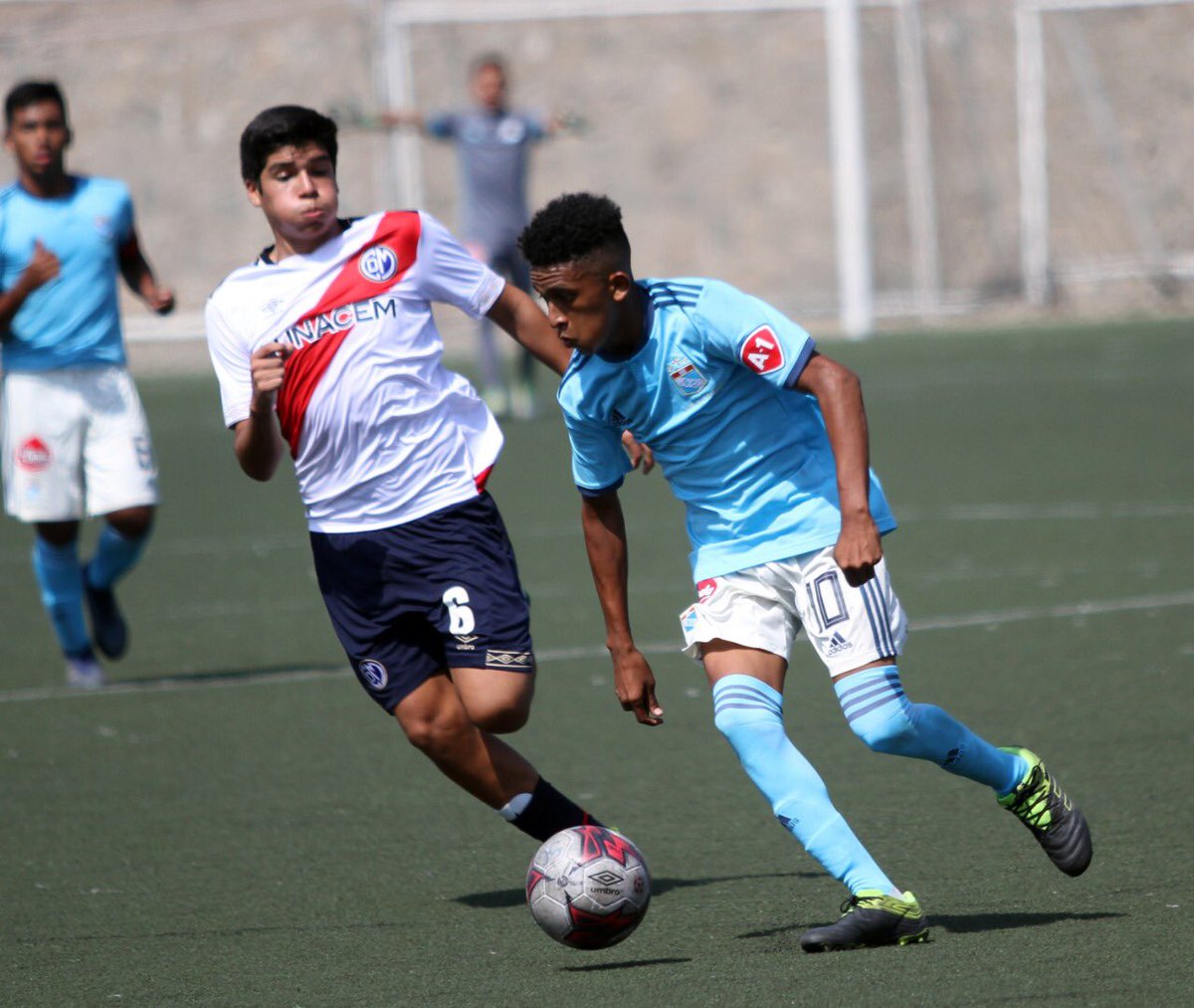 ClubSCristal's tweet photo. #CopaFederación2019
#Cat2003

⚽️ @ClubSCristal 3-1 @CCDMunicipal 
📍La Florida 

#FuerzaCristal 
#LaRazaCeleste 
#FormandoPersonas https://t.co/mzKQ32151k