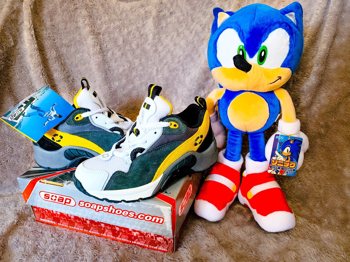 sonic heelys