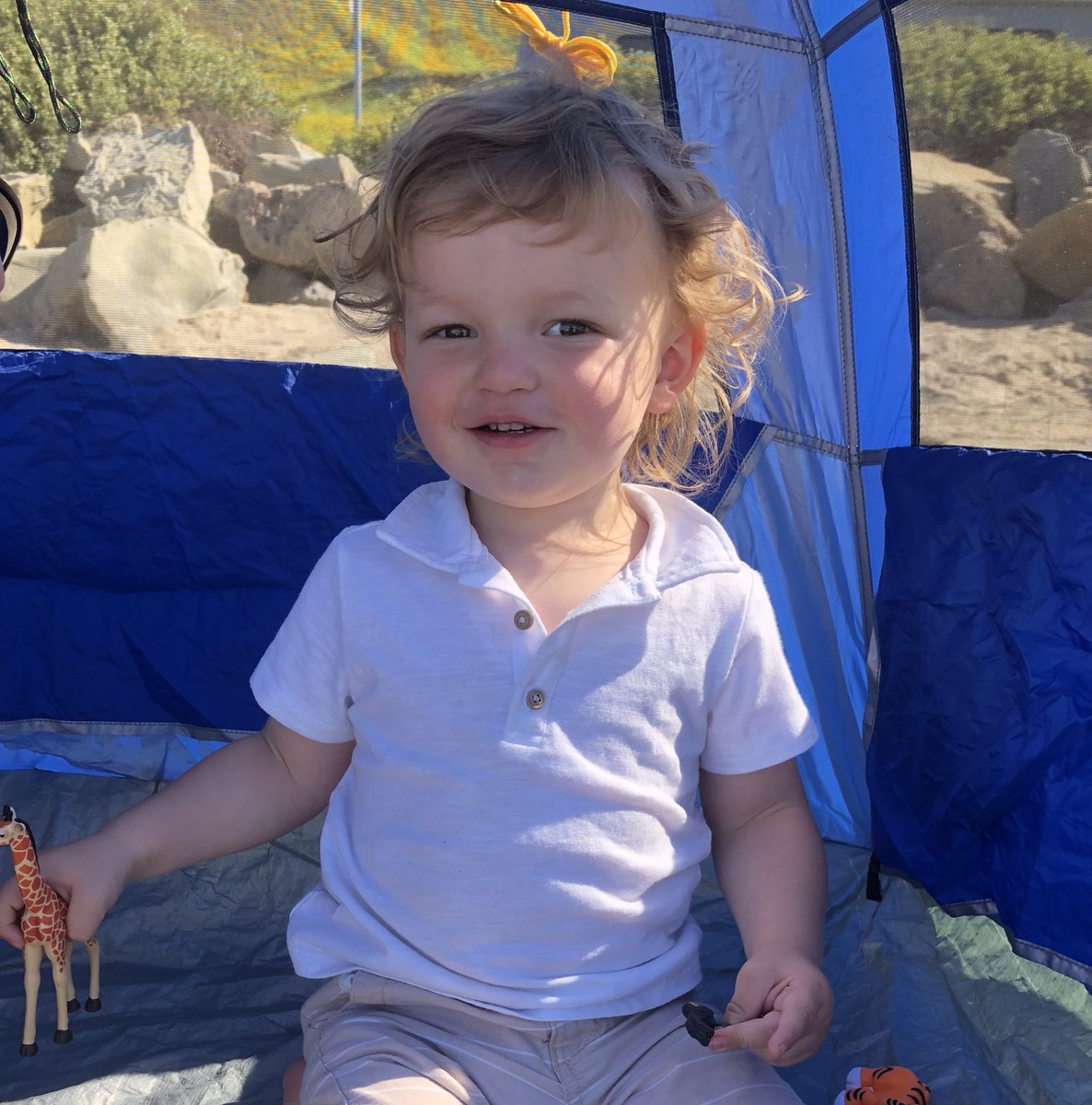 a_aron_ferguson's tweet photo. ... more like osh-kosh-Oh-My-Gosh!
I love this kid. My wife did strong work. #BabyPolo #BeachMorning #Ventura #StateBeaches https://t.co/wMPpxplSP5