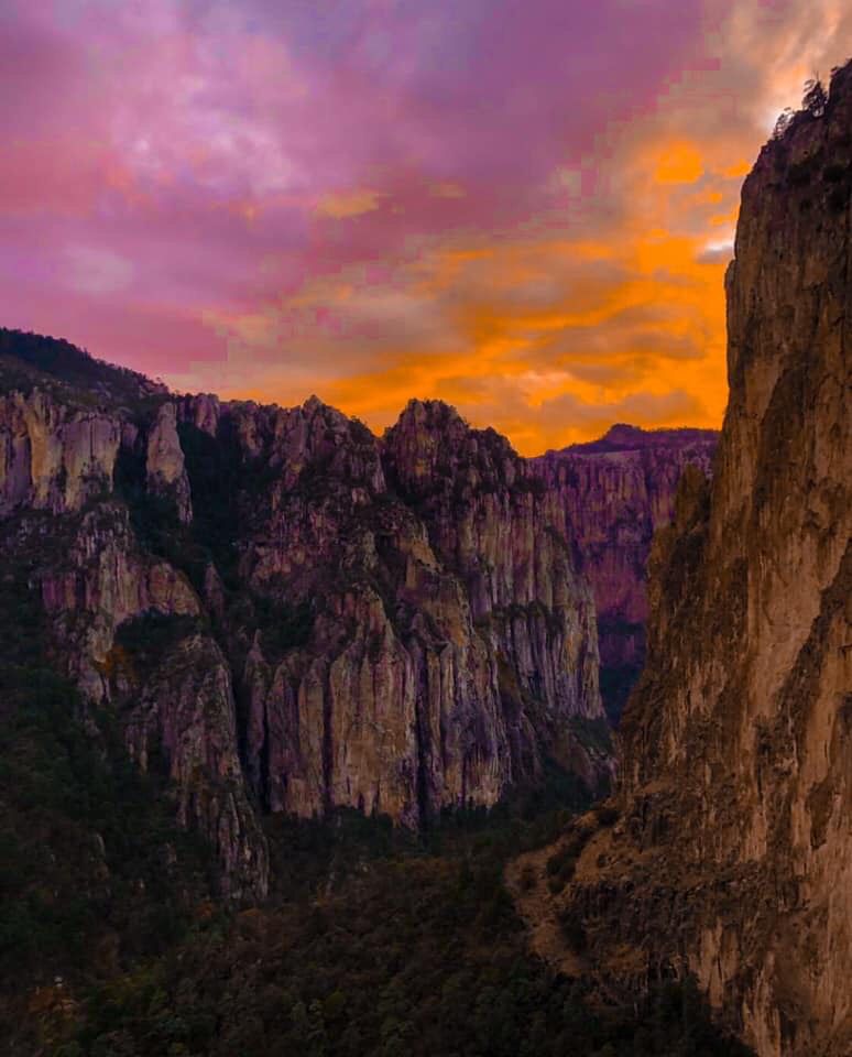 Garza_Viajes's tweet photo. El Parque Nacional Cascada de Basaseachi es conocido no solo por sus sorprendentes formaciones rocosas y su frondoso bosque de pinos, encinos y robles, sino también por sus acacias, alisos y algunas especies de agave. 😍🤩🌳🌱

📸williamseyer
#mountain #mountains #sky #beautiful https://t.co/09yt6UciNE