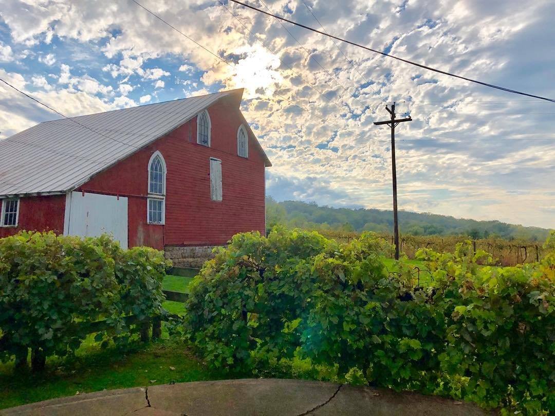 #GalenaCountry is proud to have #IllinoisMade businesses such as the Galena Canning Company, 🌶 <a href="/BlaumBros/">BlaumBros Distilling</a> 🥃 and <a href="/GalenaCellars/">Galena Cellars Vineyard & Winery</a> 🍷