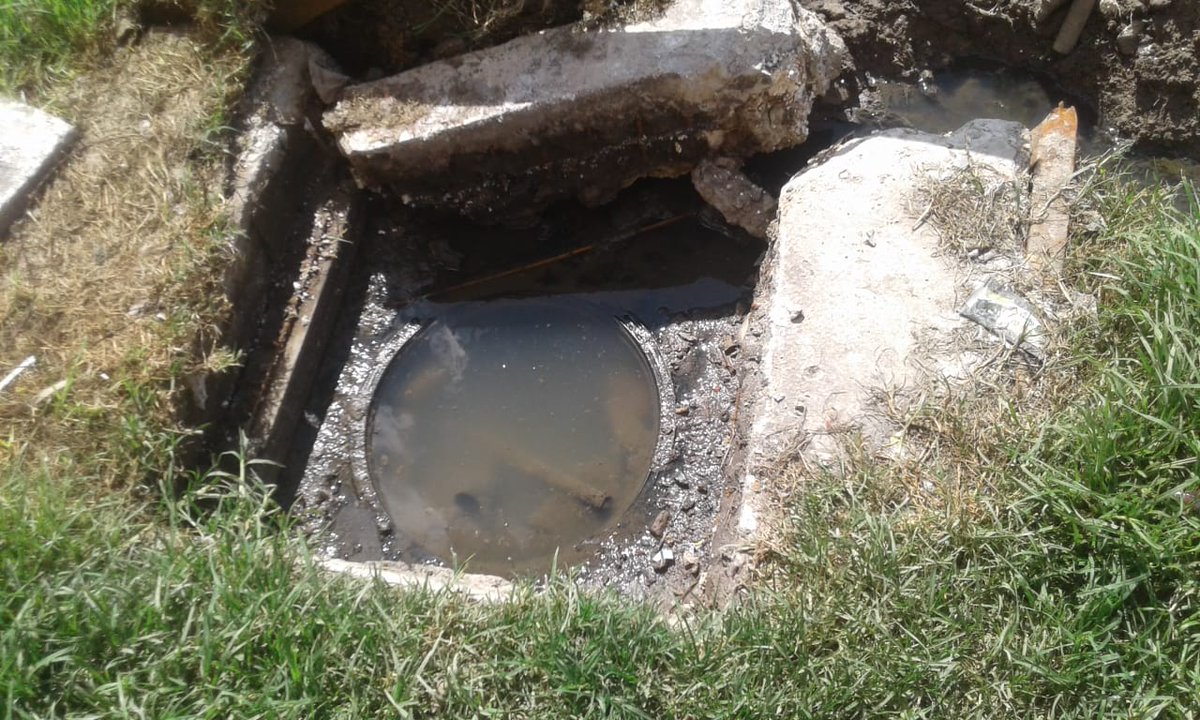 Vincha Rodríguez 2019 tweet media