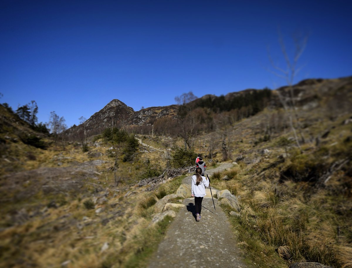 Onwards and upwards, the well defined path to Ben A'an. @VisitScotland @lomondtrossachs @Scotland @ScotsMagazine #benaan #thetrossachs #lochkatrine #hillwalking #Scotland #ScotlandisNow #scotspirit #blueskies #landscape