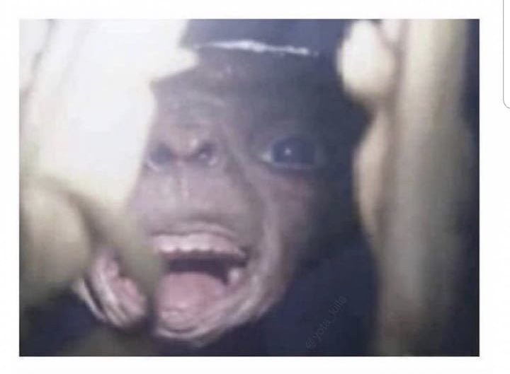 drewski_400's tweet photo. When You eating a pregnant bitch in the dark and Turn on the lights😭😭 https://t.co/7c6tI7bTqk