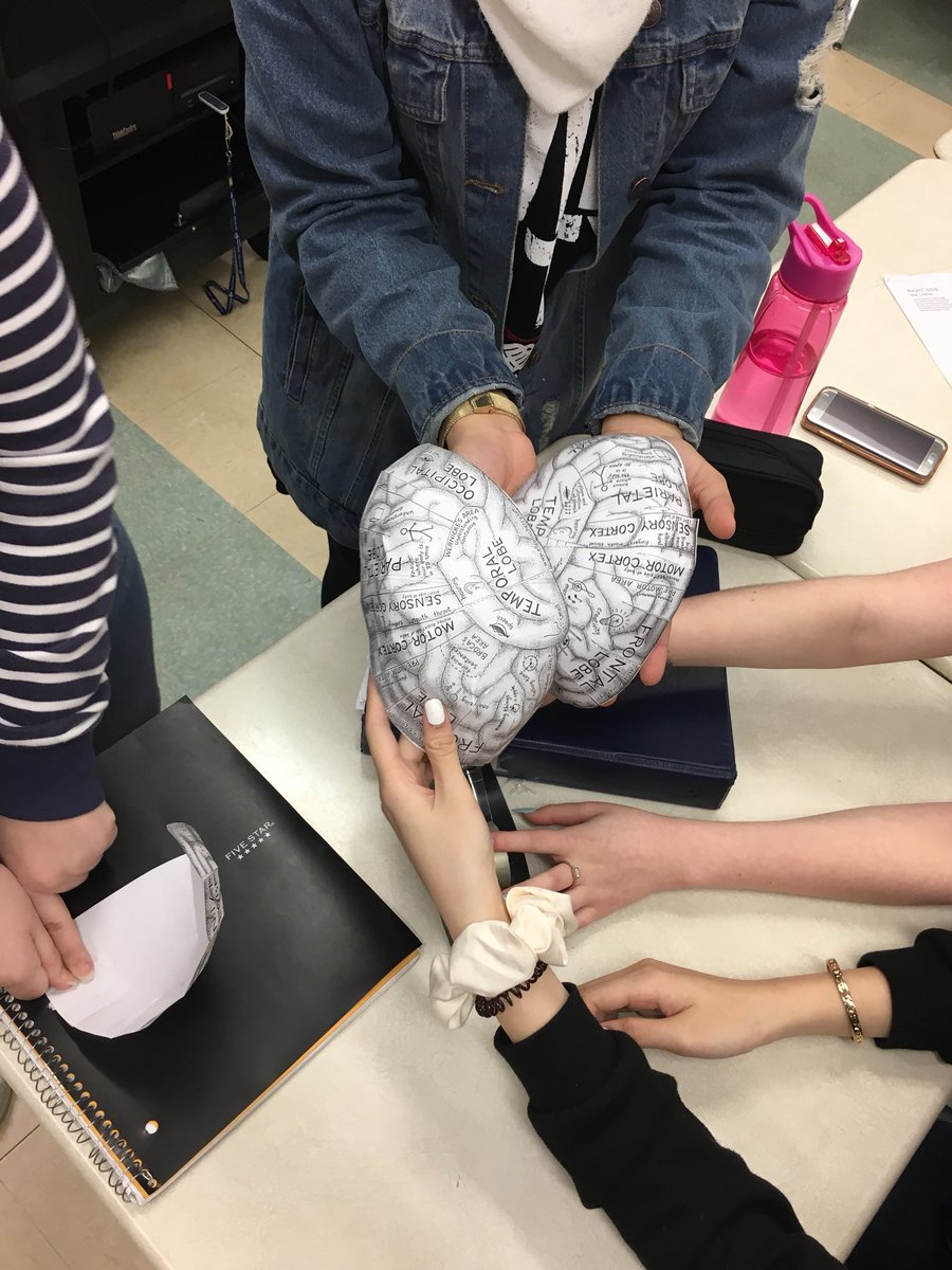 MissVennettilli's tweet photo. My #IAPS class has fun making their own #brains last week! #psychology #smartcookies 🧠👀 https://t.co/78Ey1kOs75
