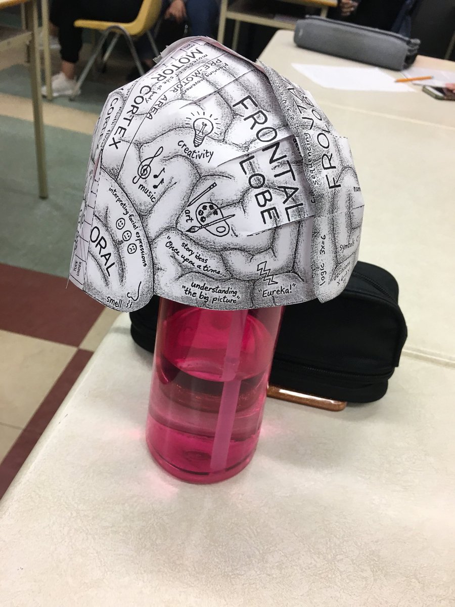 MissVennettilli's tweet photo. My #IAPS class has fun making their own #brains last week! #psychology #smartcookies 🧠👀 https://t.co/78Ey1kOs75
