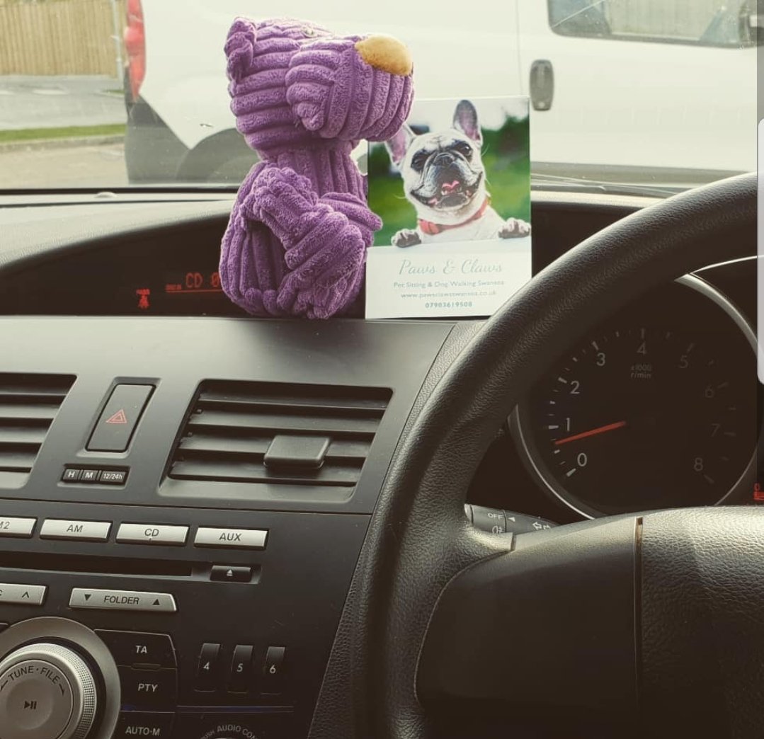 PawsSwansea's tweet photo. Today we're out #distributing our #leaflets in the #Swansea area! 

If you're looking for a #dogwalker or #petsitting give us a call on 07903619508. 

#dogfriendly #dog #dogwalking #pets #southwales #petservices #cat #business #businessowner #walking #animals #furbaby https://t.co/DtWhpjOIKt