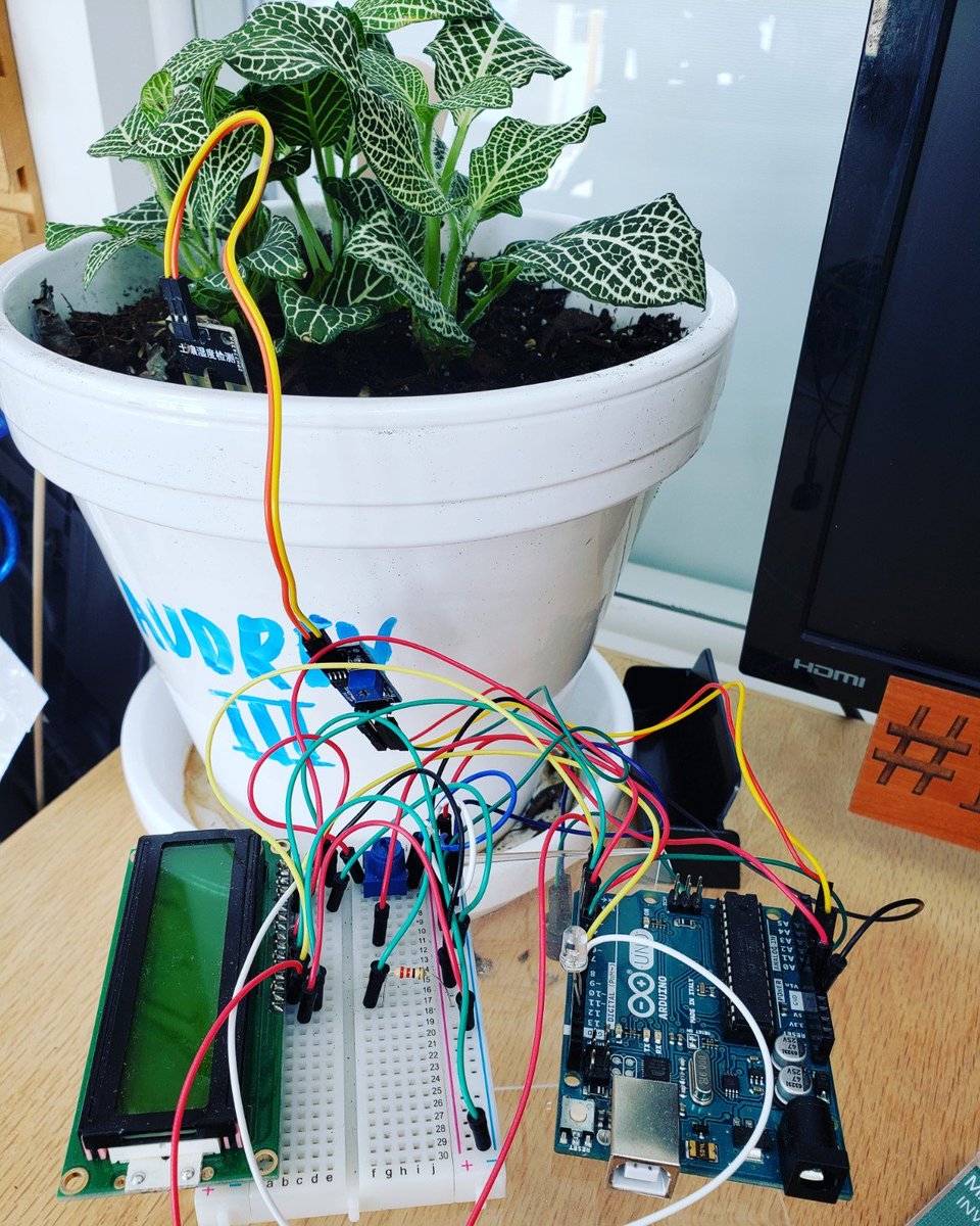 FacetTechInc's tweet image. Audrey III isn't just an average shop plant, she sends us a message when she's thirsty! What are some of your favorite projects you've done with your #arduino ? Comment below! ⬇️ #arduinoproject #arduino_uno #STEM #stemeducation #stemtech #stemtechnology #stemproject #technology