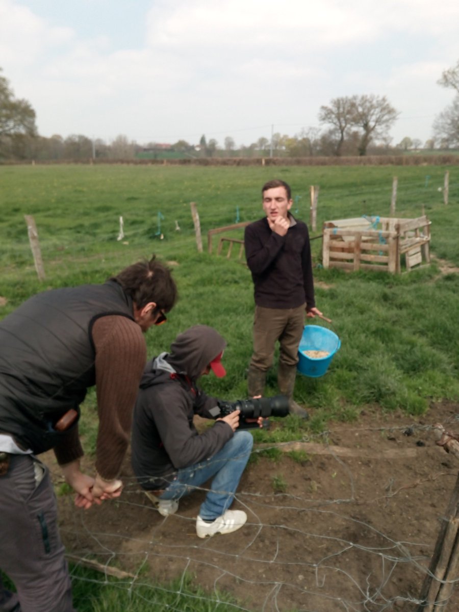 Pierre Picard tweet media