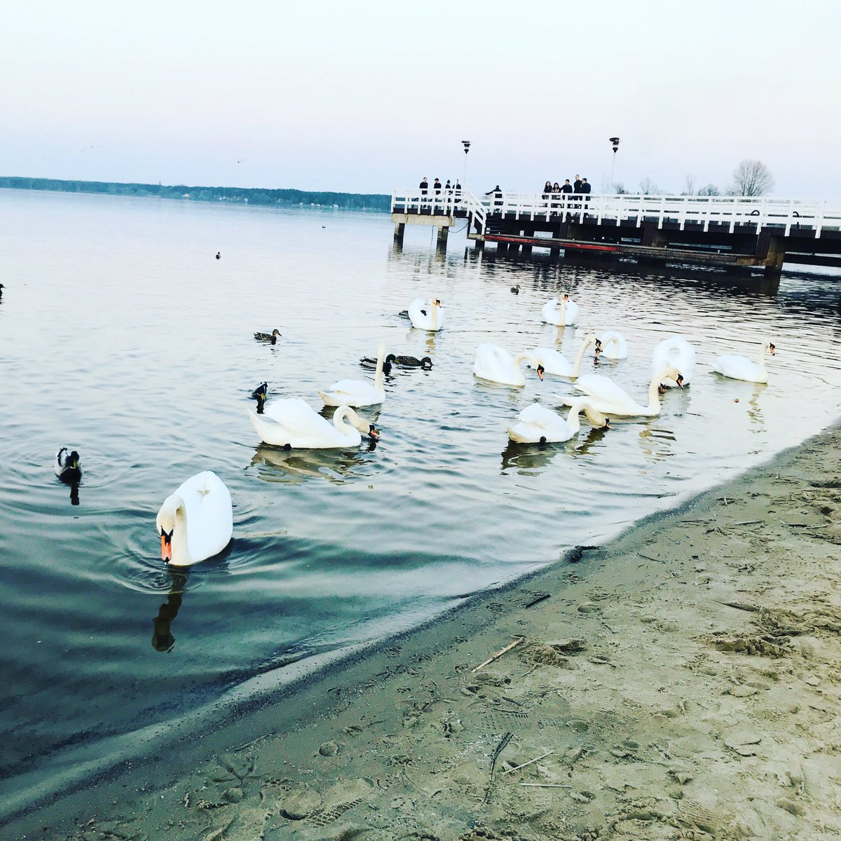 VedegoGlobal's tweet photo. Zegrze is a small town with a great lakeside. It’s located very close to Warsaw (33km away) and must see in spring or summer time! 👍🏻🇵🇱

#zegrze #poland #polska #warsaw #lake #jezioro #global #vedego #vedegoGlobal #sun #travel #visa #passport #holiday #traveller #trip #europe https://t.co/5ZLkf1Nt7g