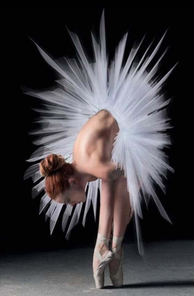zerok_z's tweet photo. #BalletForever https://t.co/Ph9J9R3Dca
