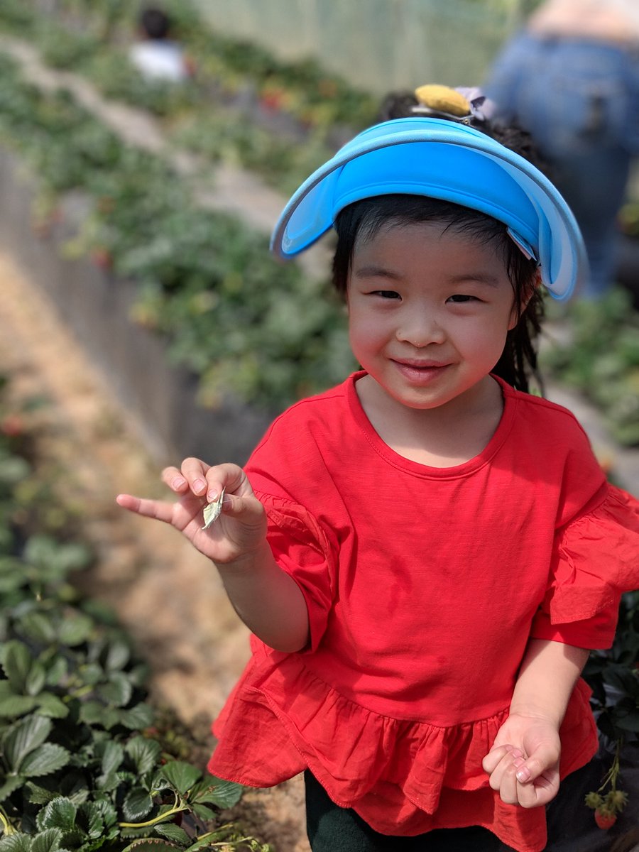 Mom caught a butterfly for Val during Strawberry picking. 😬🤨 #bugcatcher