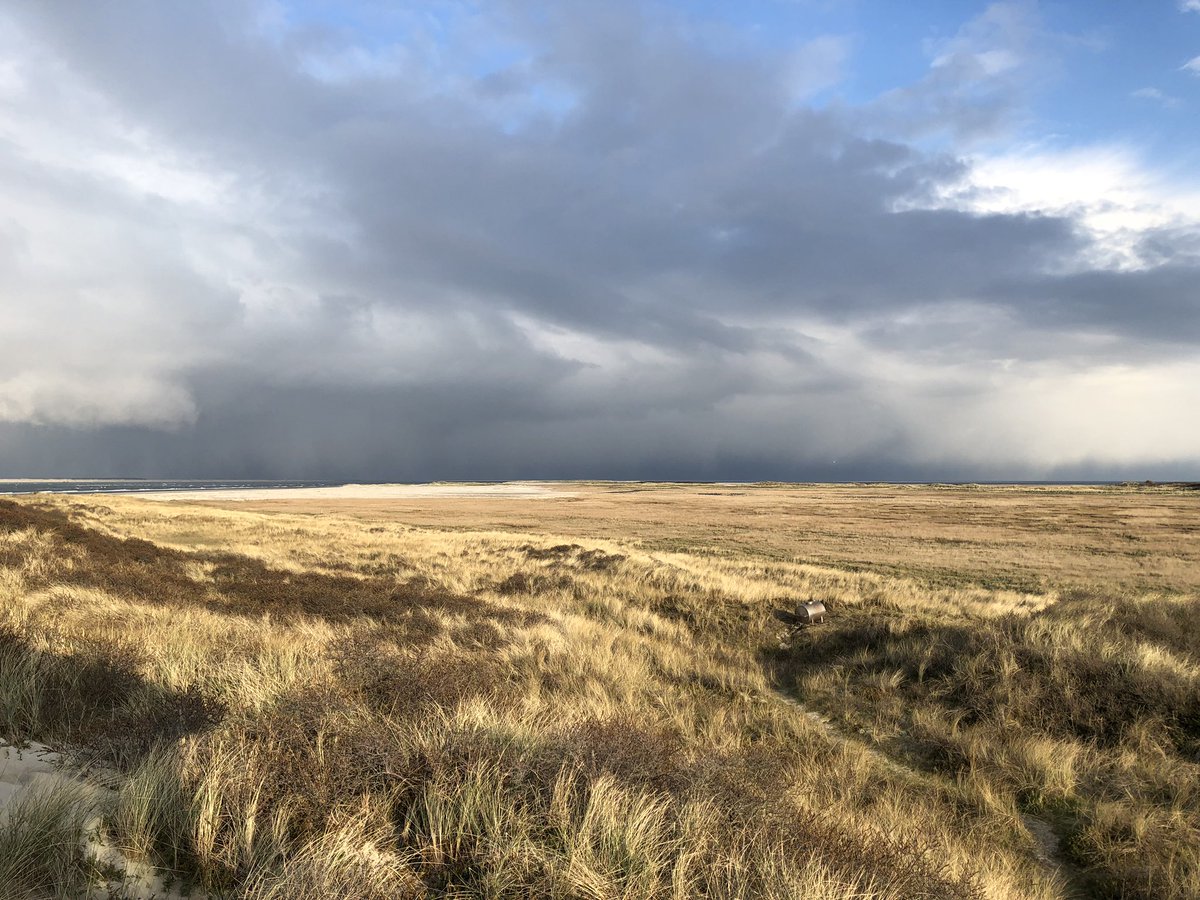 arklop's tweet photo. Mooie luchten op @de_boschplaat #volgdenatuur https://t.co/d0ZpQDhtsk