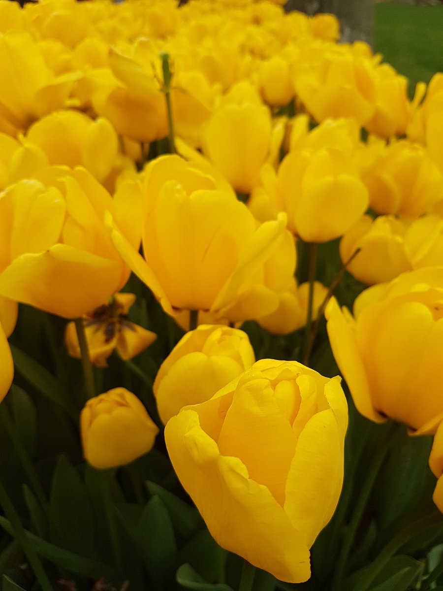 Şiir var dinlersen :)

#ŞiirMevsimi | 21.00'de | <a href="/ErkamRadyo/">Erkam Radyo</a>'da