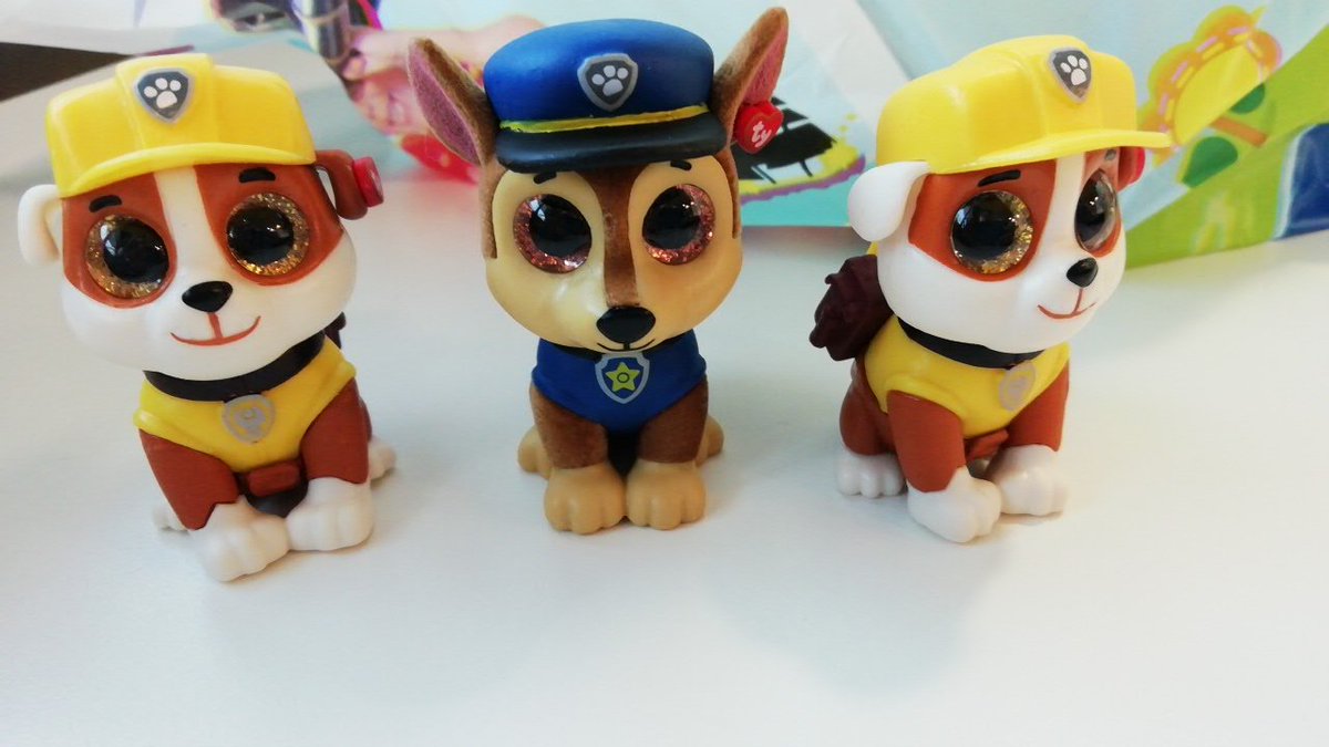 dr paw patrol
